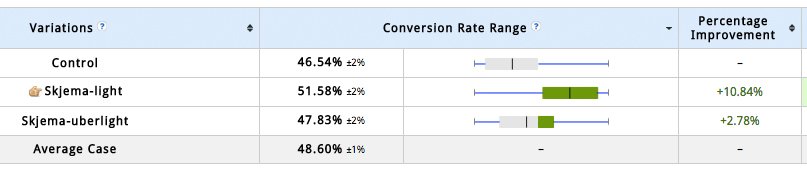 BliVakker results - VWO case study