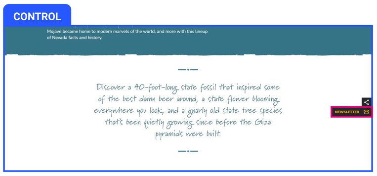 Direct Newsletter Subscription