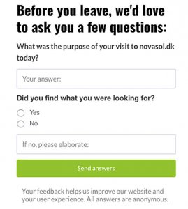 Website Survey