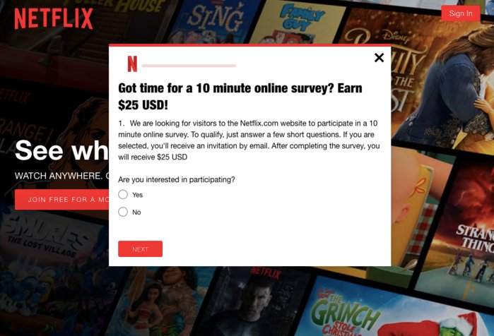 an example of a website survey on Netflix