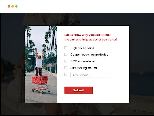 exit intent surveys on American swan website