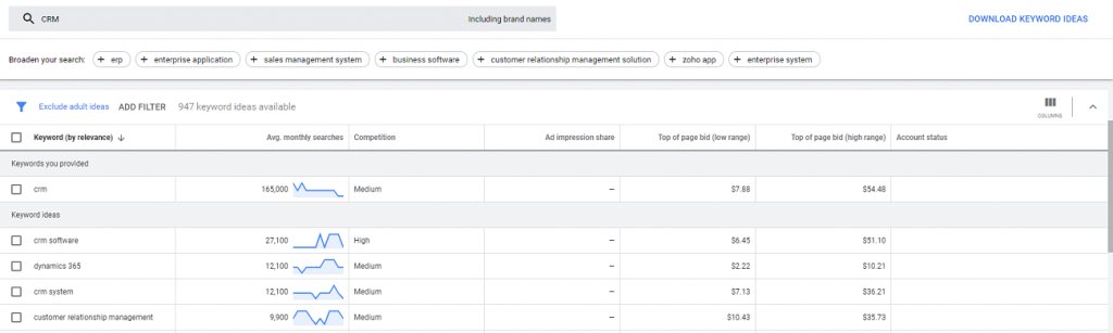 screeshot of the statistics within Google Ads keyword planner for a particular search query