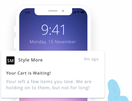 Abandoned Cart Push Notification 1