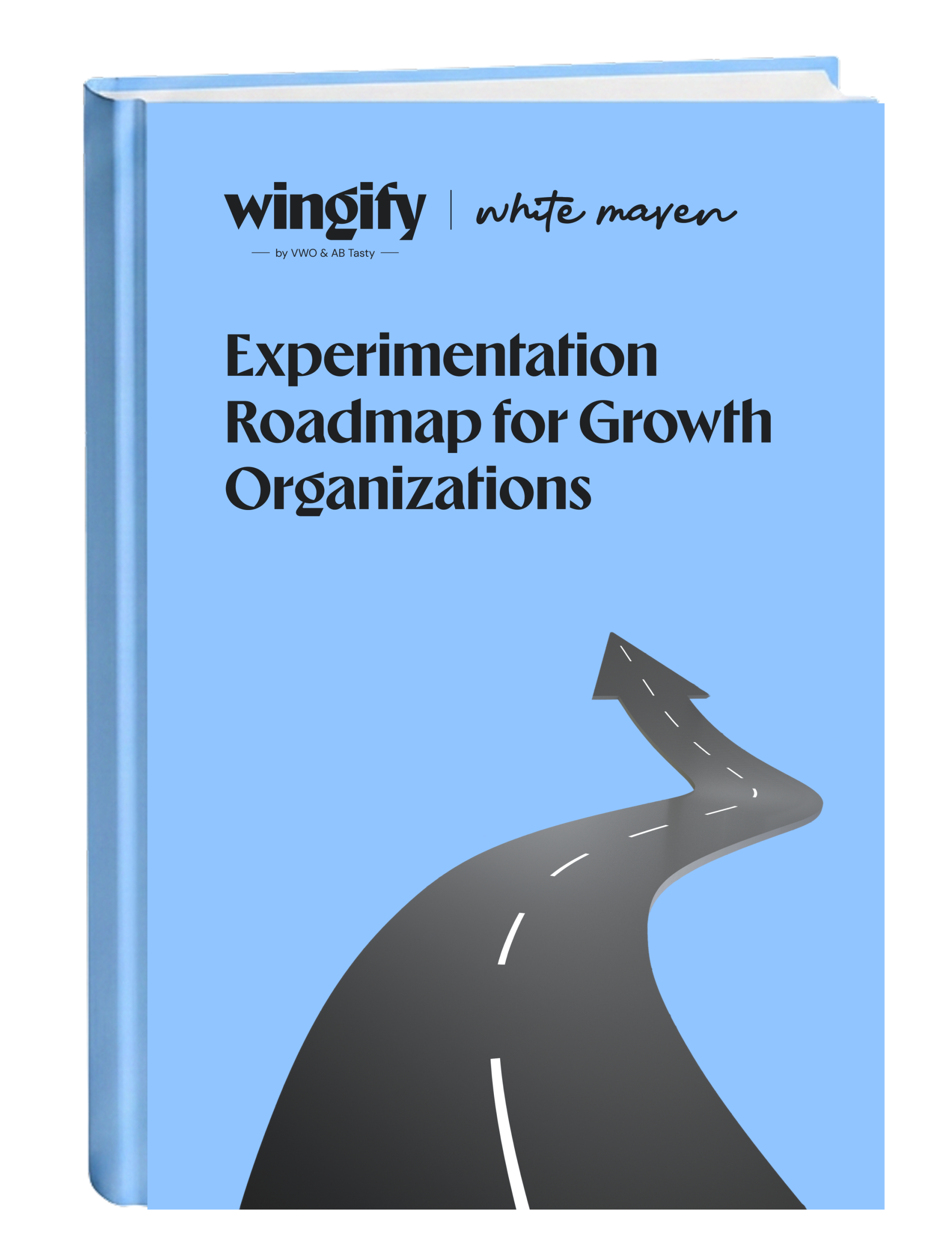 Experimentation Roadmap For Growth Organizations