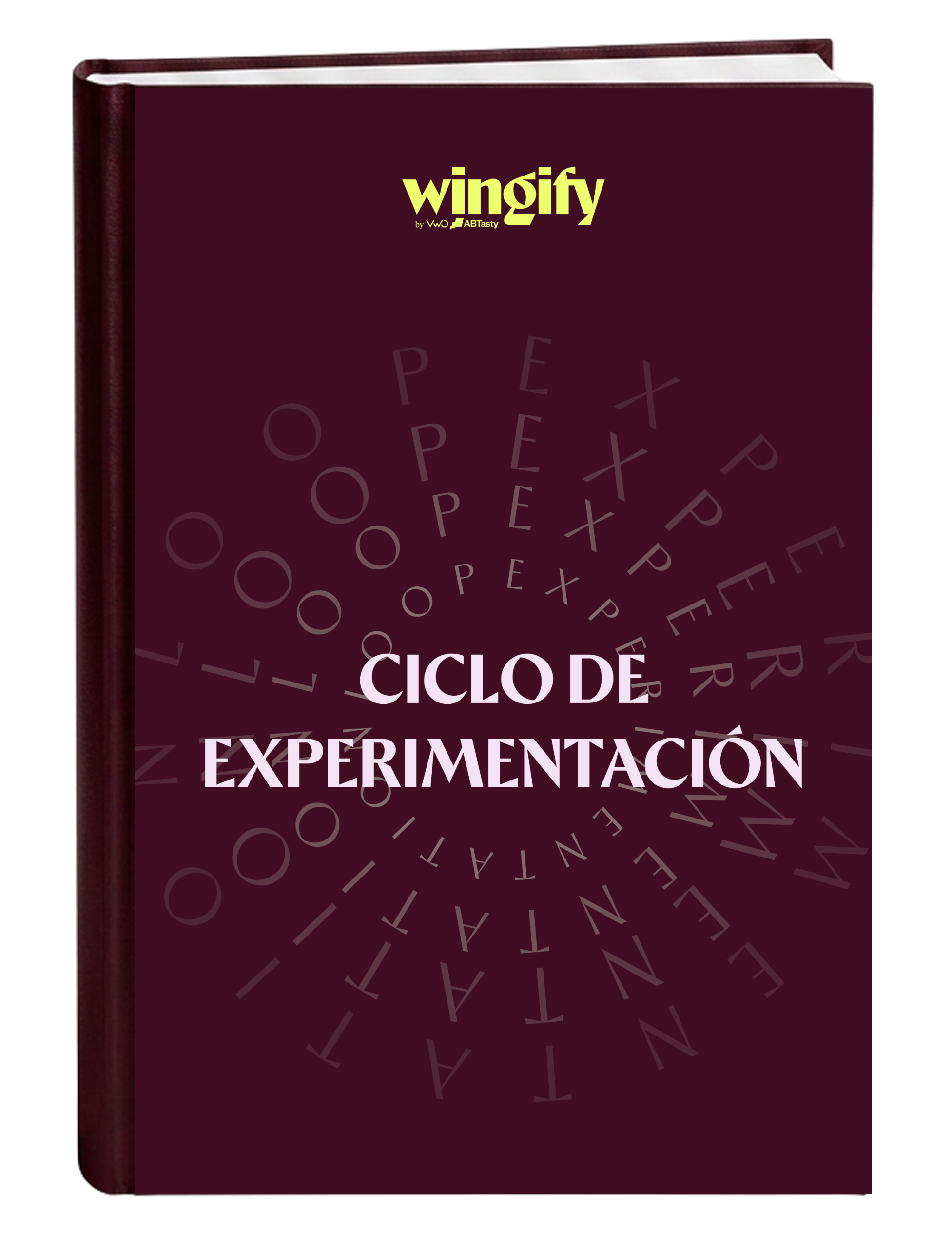 Ciclo de Experimentación