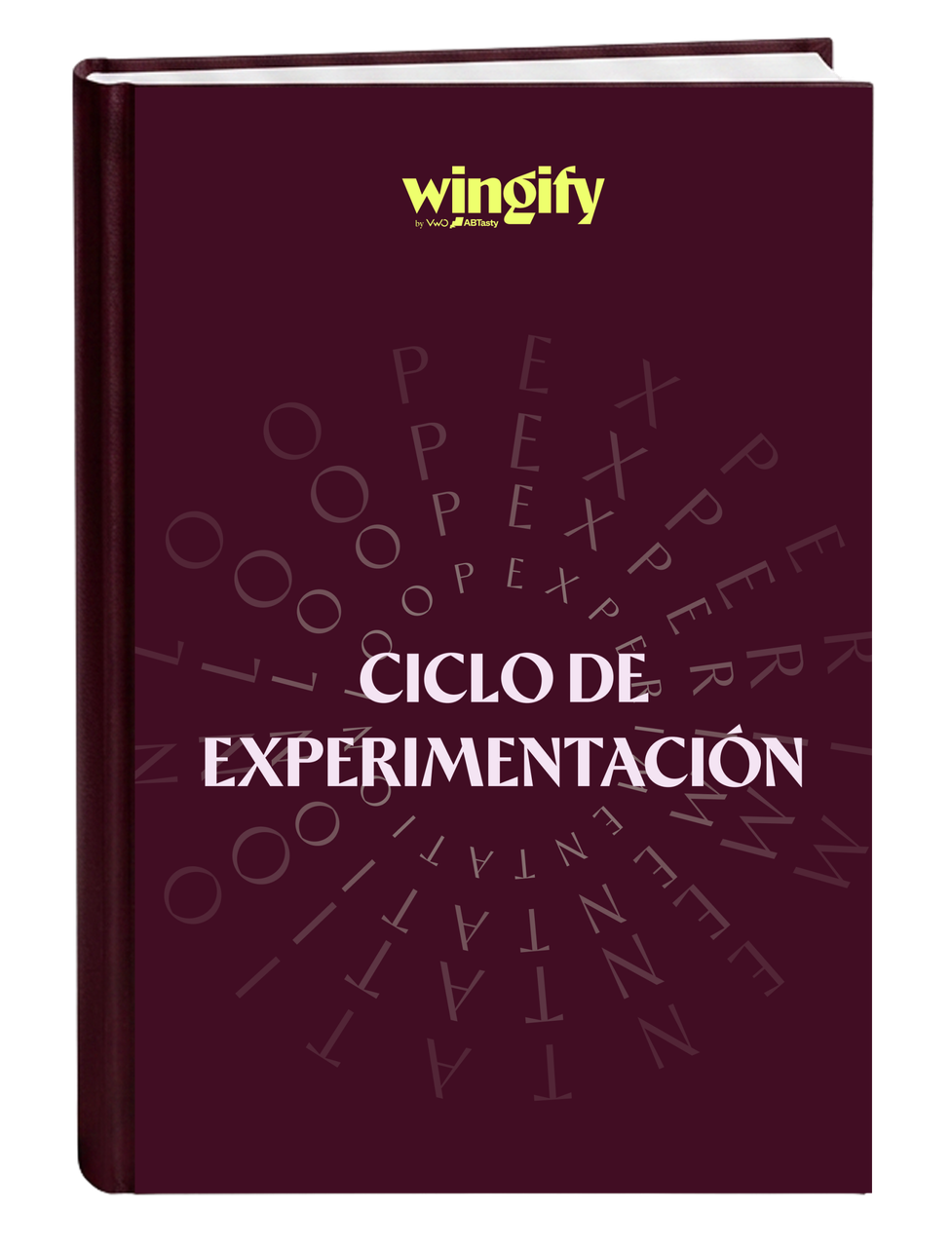 Ciclo de Experimentación
