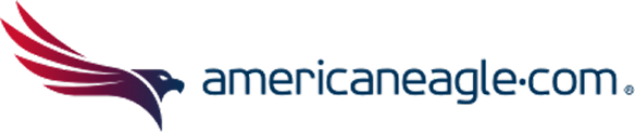American Eagle@2x
