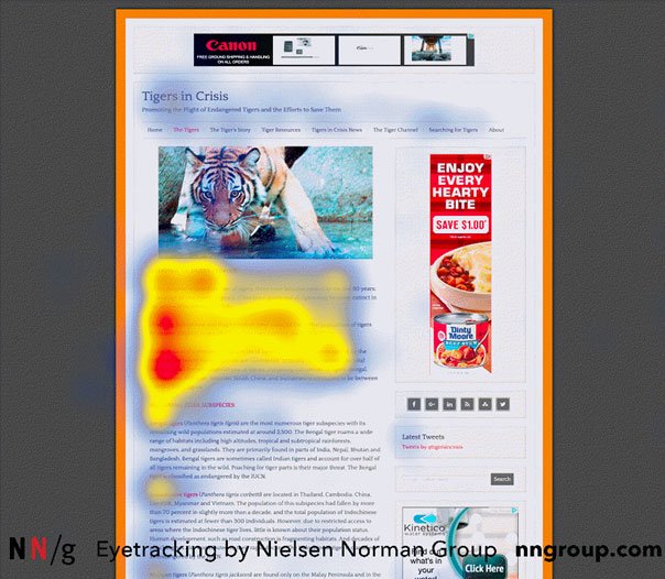 Exemple Eye-Tracking