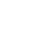 Low Battery icon