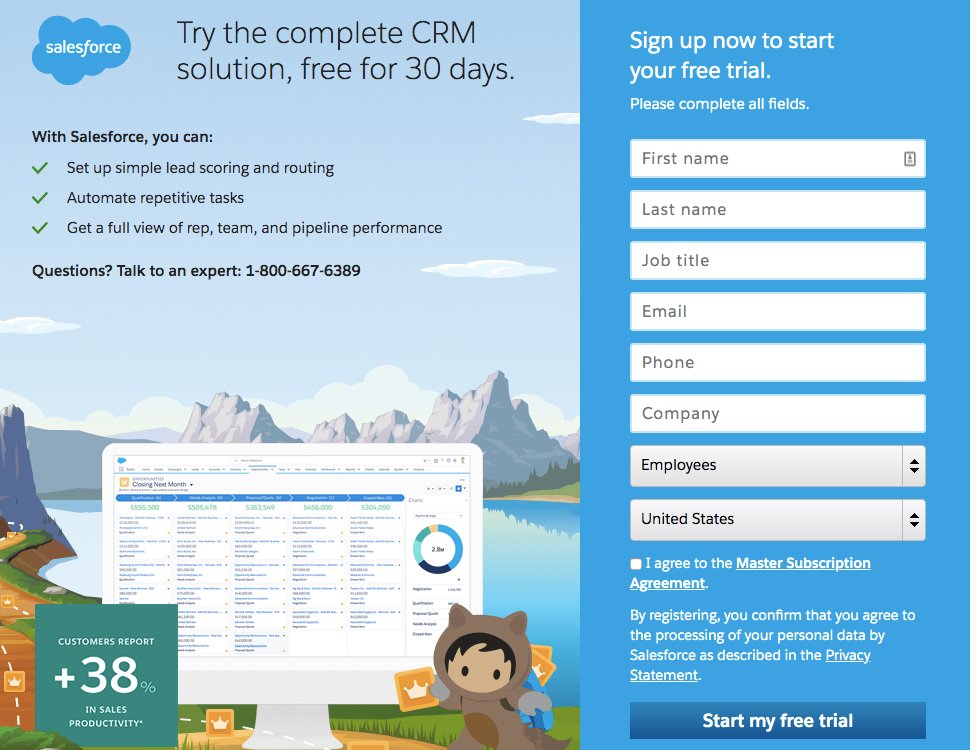 salesforce form