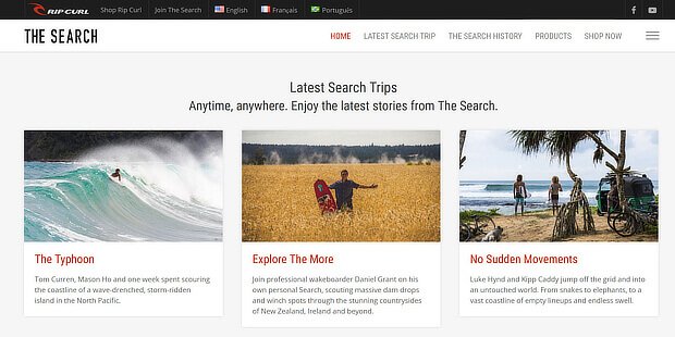 Online publication - The Search