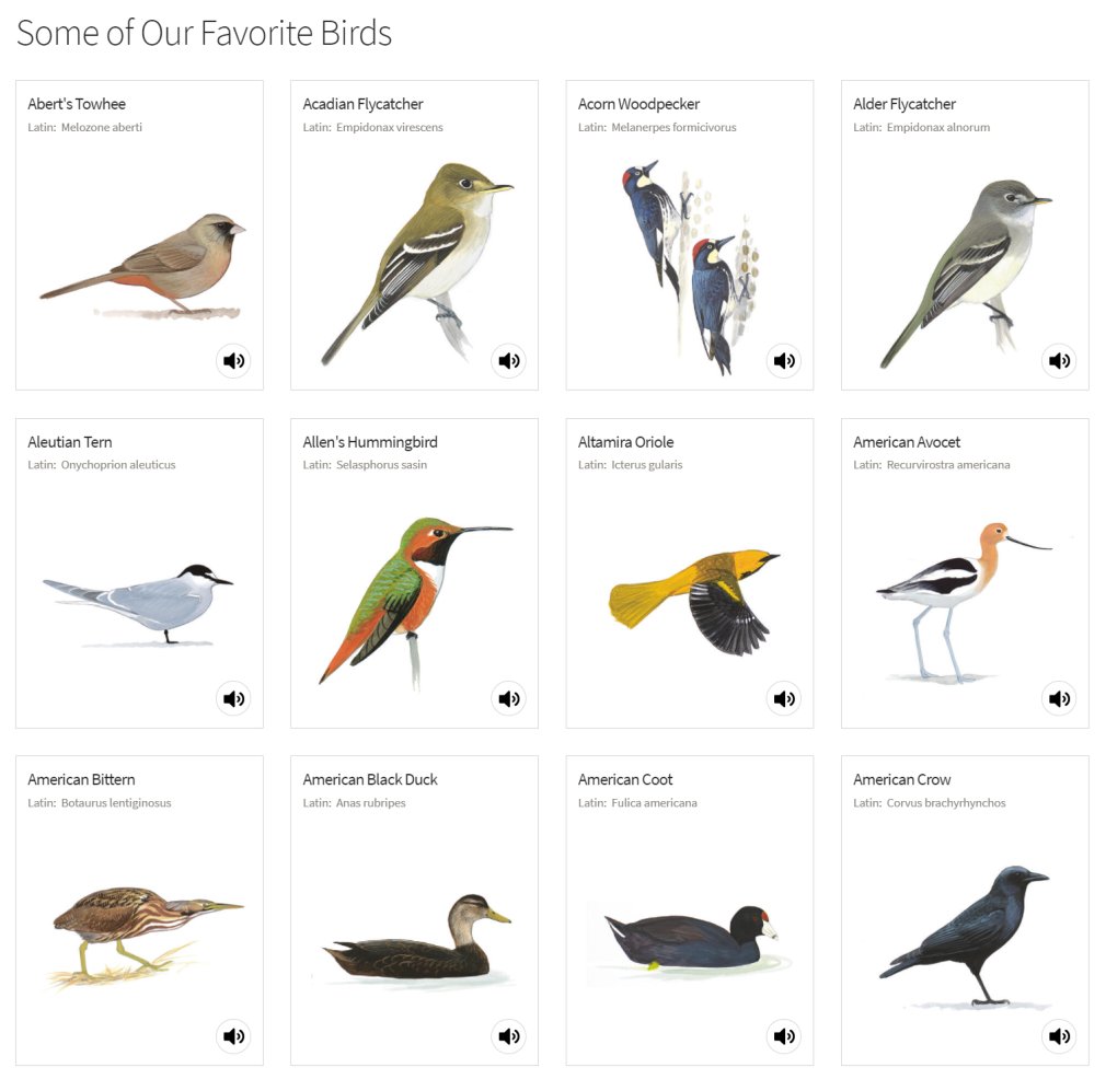 Content Database (North American Birds)