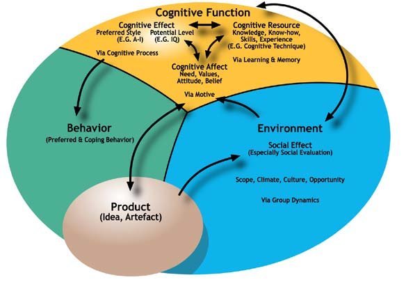 Cognitive Function Schema Adapted And Used With Permission From 8 Within The
