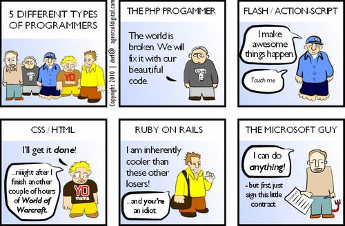 Types of programmers cartoon to explain the various segments of programmers