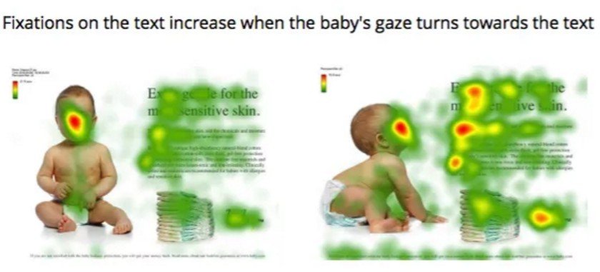 heatmap of the fixation of the baby's attention on text