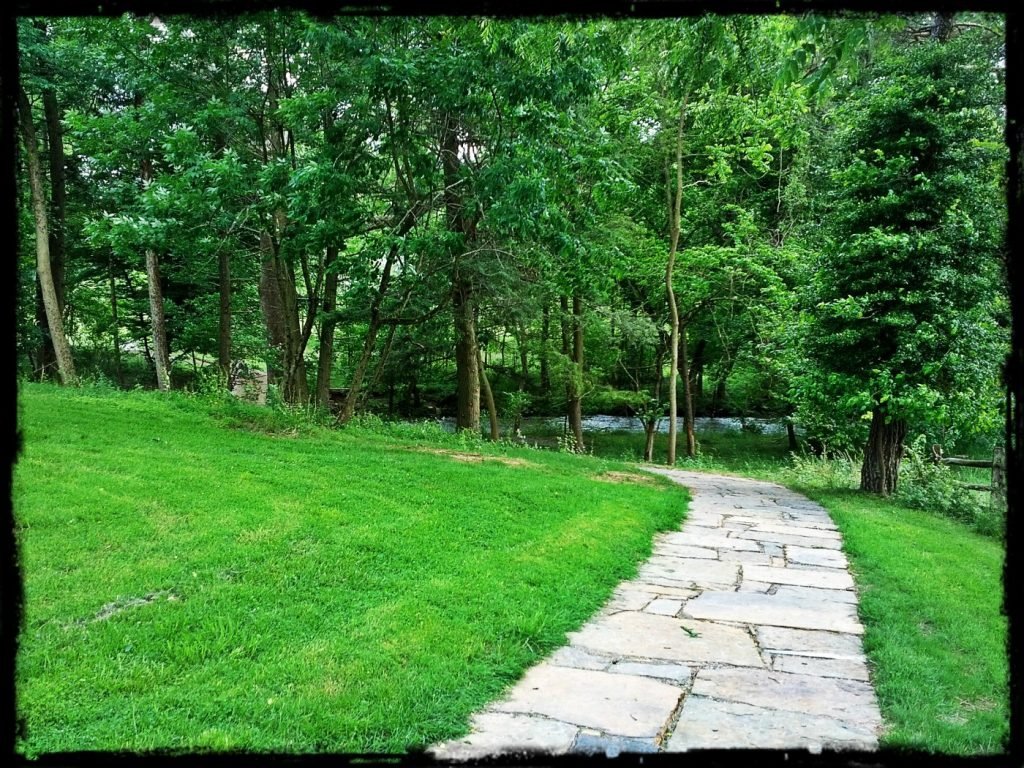 an image of a walking path in nature