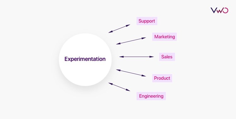 collaboration of various functions on experimentation