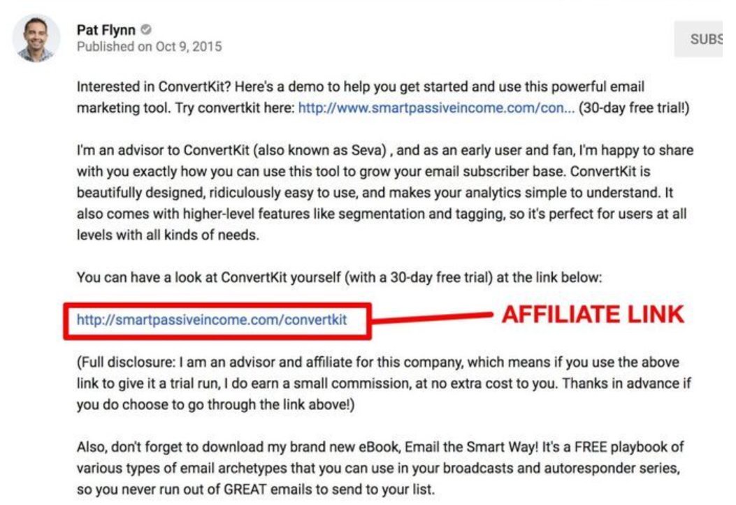 Pat Flynn's Affiliate Example