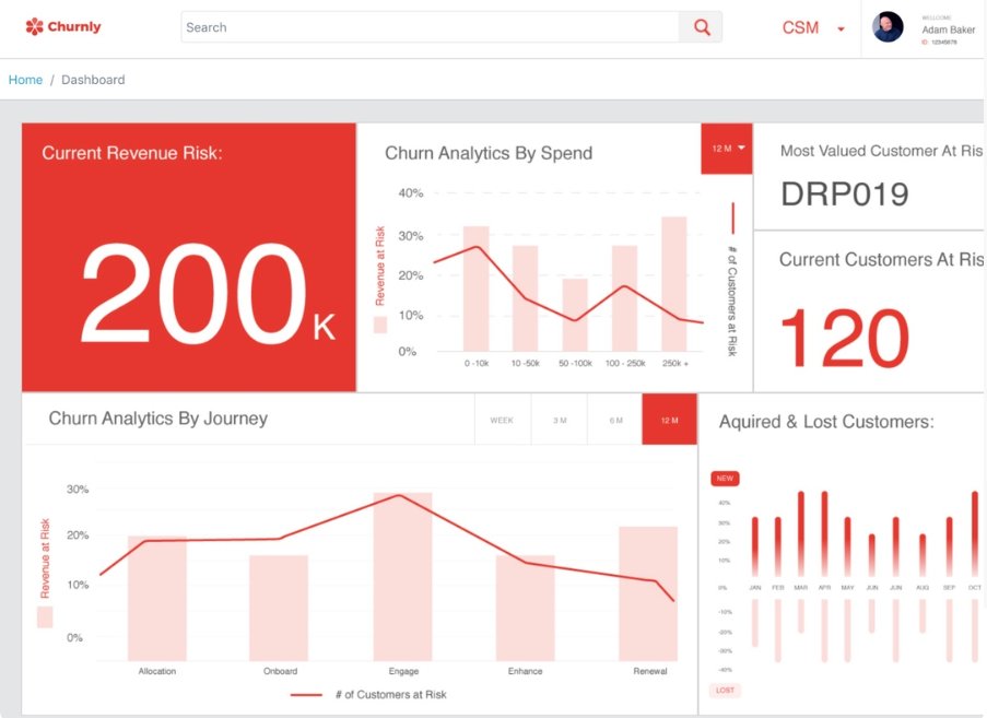 Churnly Dashboard overview