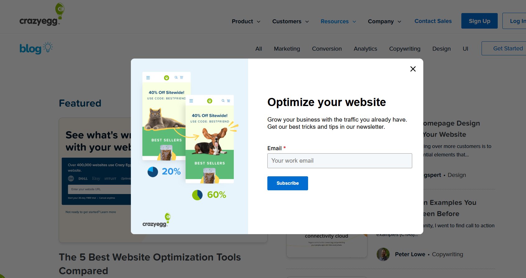 Lead generation funnel – Crazy Egg