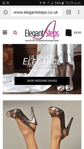 Elegant Steps Control