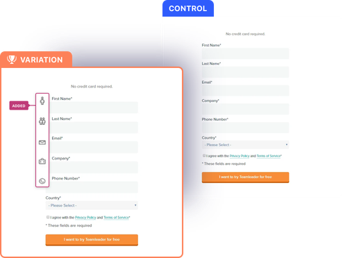 introduce icons to reduce form drop off